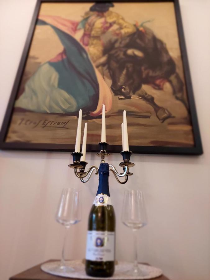 Torro Lux Apartment Palić